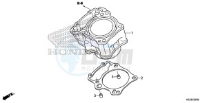 CRF250LD CRF250L UK - (E) drawing CYLINDER