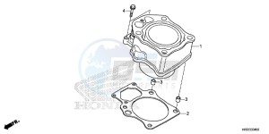 TRX420FE1F TRX420 Europe Direct - (ED) drawing CYLINDER