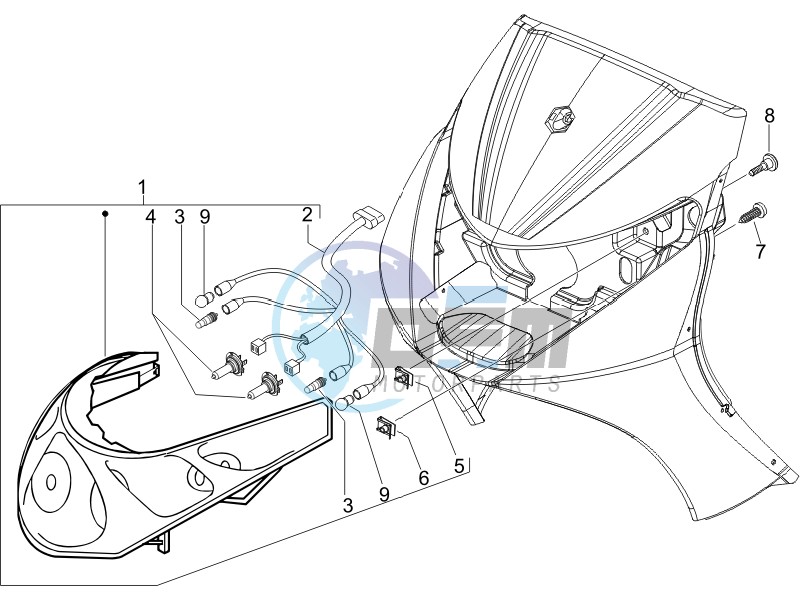 Head lamp - Turn signal lamps