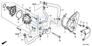 CBR600FB drawing WATER PUMP