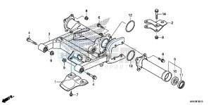 TRX500FE1F TRX500F Europe Direct - (ED) drawing SWINGARM