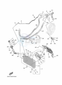 MWD300 TRICITY 300 (BX94) drawing RADIATOR & HOSE