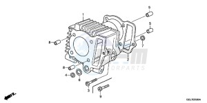 CRF50FE CRF50F Europe Direct - (ED) drawing CYLINDER