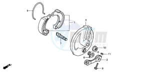 XR50R drawing FRONT BRAKE PANEL