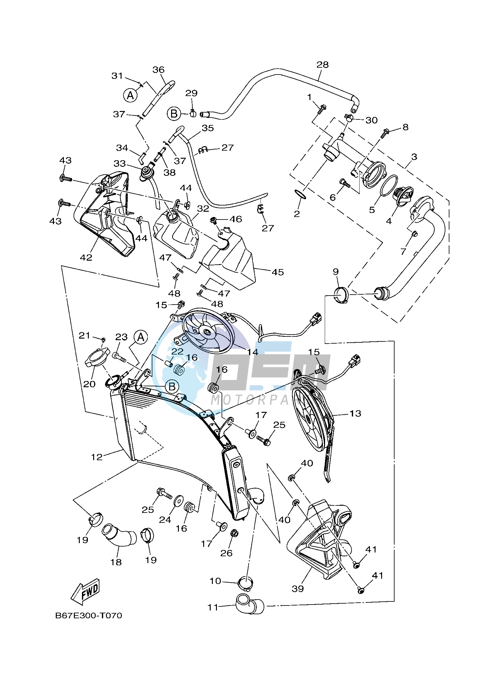 RADIATOR & HOSE