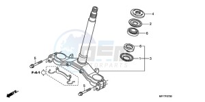 XL700VA9 France - (F / ABS CMF SPC) drawing STEERING STEM