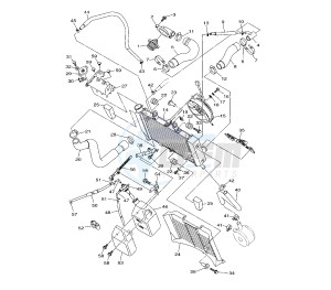 XJ6-S DIVERSION 600 drawing RADIATOR AND HOSE