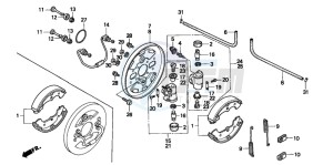 TRX300 FOURTRAX 300 drawing FRONT BRAKE PANEL (TRX300FW)