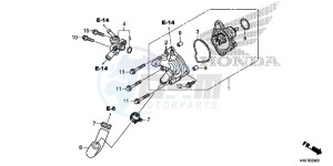 NSS125ADF Forza 125 - NSS125AD UK - (E) drawing WATER PUMP