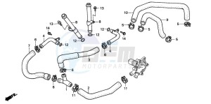 XL600V TRANSALP drawing WATER PIPE