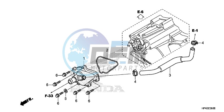 WATER PUMP COVER