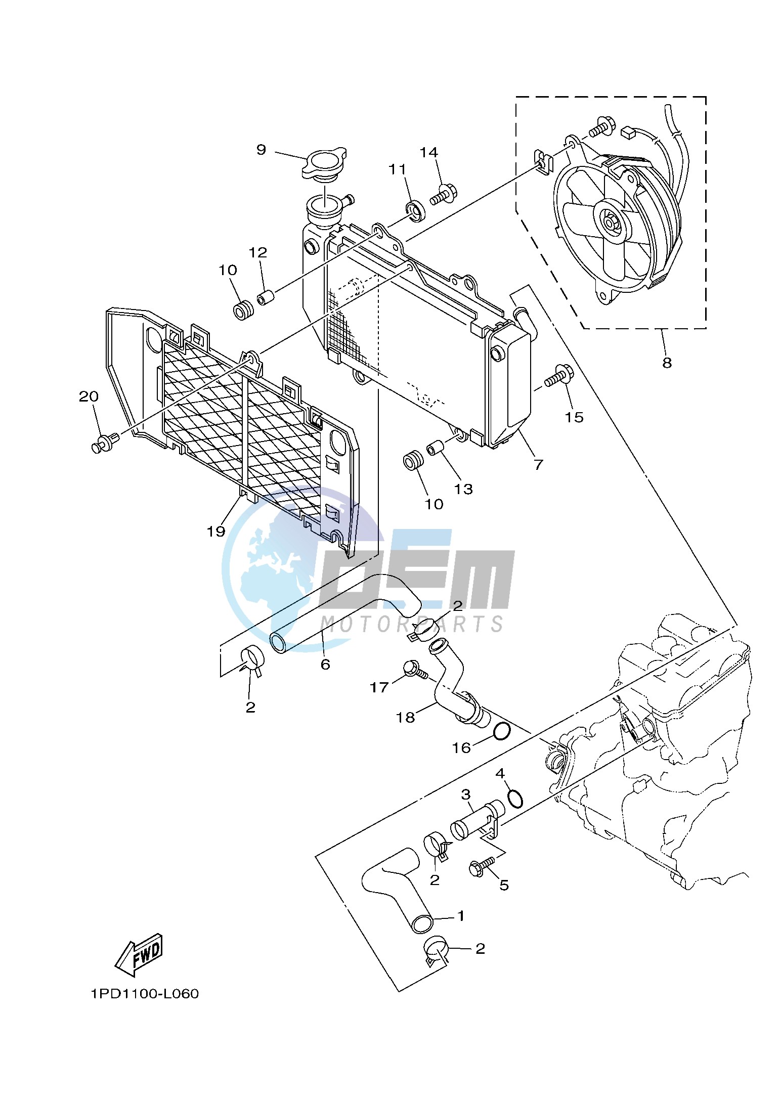 RADIATOR & HOSE