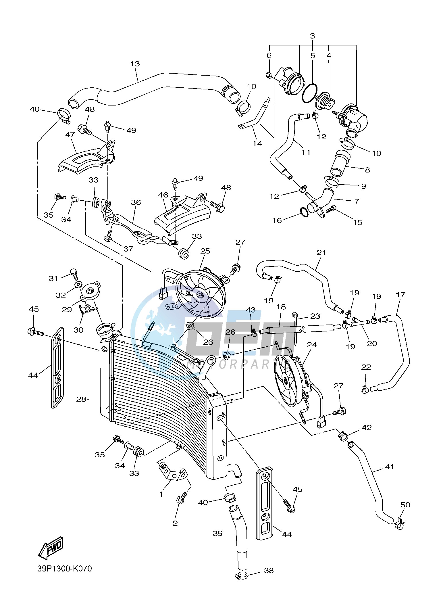 RADIATOR & HOSE