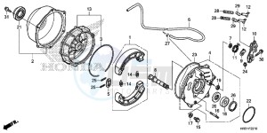 TRX420FM2H Europe Direct - (ED) drawing REAR BRAKE PANEL