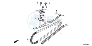 WW125EX2C drawing CAM CHAIN/TENSIONER