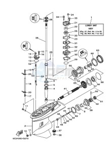 T50TLRH drawing LOWER-CASING-x-DRIVE-1