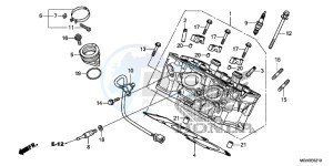 VFR1200XDC drawing CYLINDER HEAD (REAR)