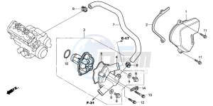 CBR600RR drawing TER PUMP