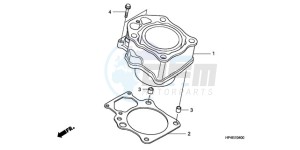 TRX420TM9 Australia - (U / 2WD) drawing CYLINDER