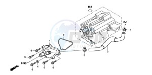 TRX420FE FOURTRAX ES drawing WATER PUMP COVER