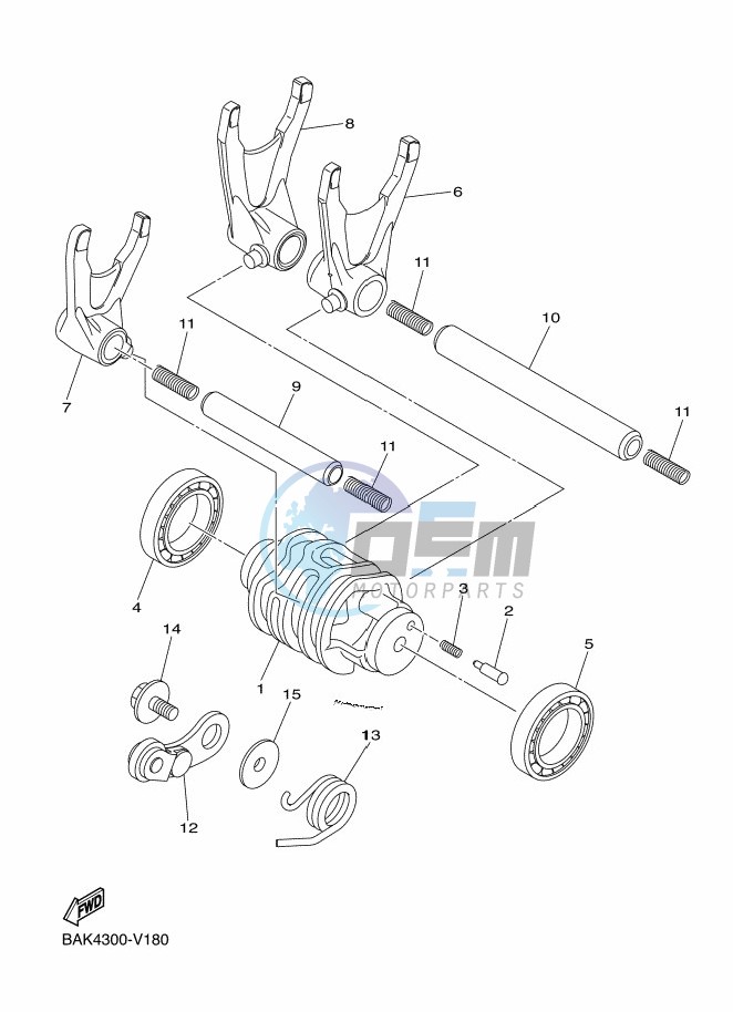 SHIFT CAM & FORK