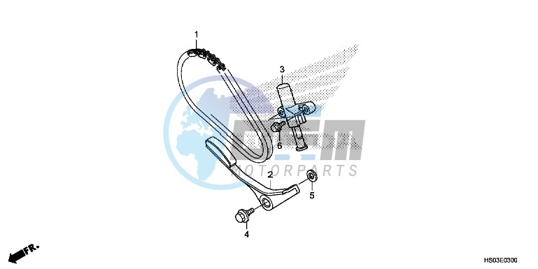 CAM CHAIN/TENSIONER