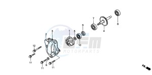 CR80R drawing WATER PUMP