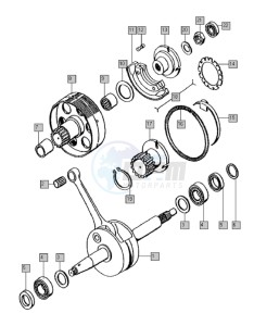 FANTIC 50 drawing Krukas