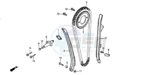 TRX300FW FOURTRAX 300 4X4 drawing CAM CHAIN