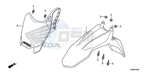 CRF125FE CRF125F Europe Direct - (ED) drawing FRONT FENDER