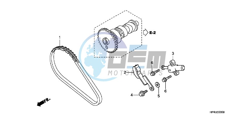 CAM CHAIN/TENSIONER