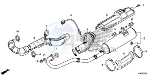 TRX500FM5H Europe Direct - (ED) drawing EXHAUST MUFFLER