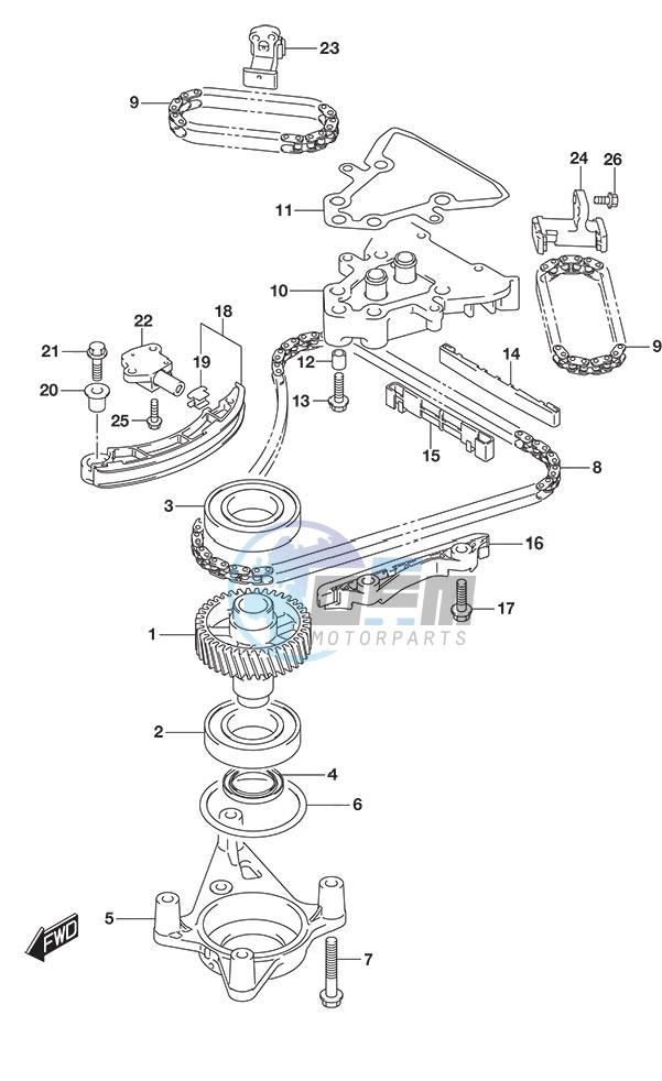 Timing Chain DF 250S