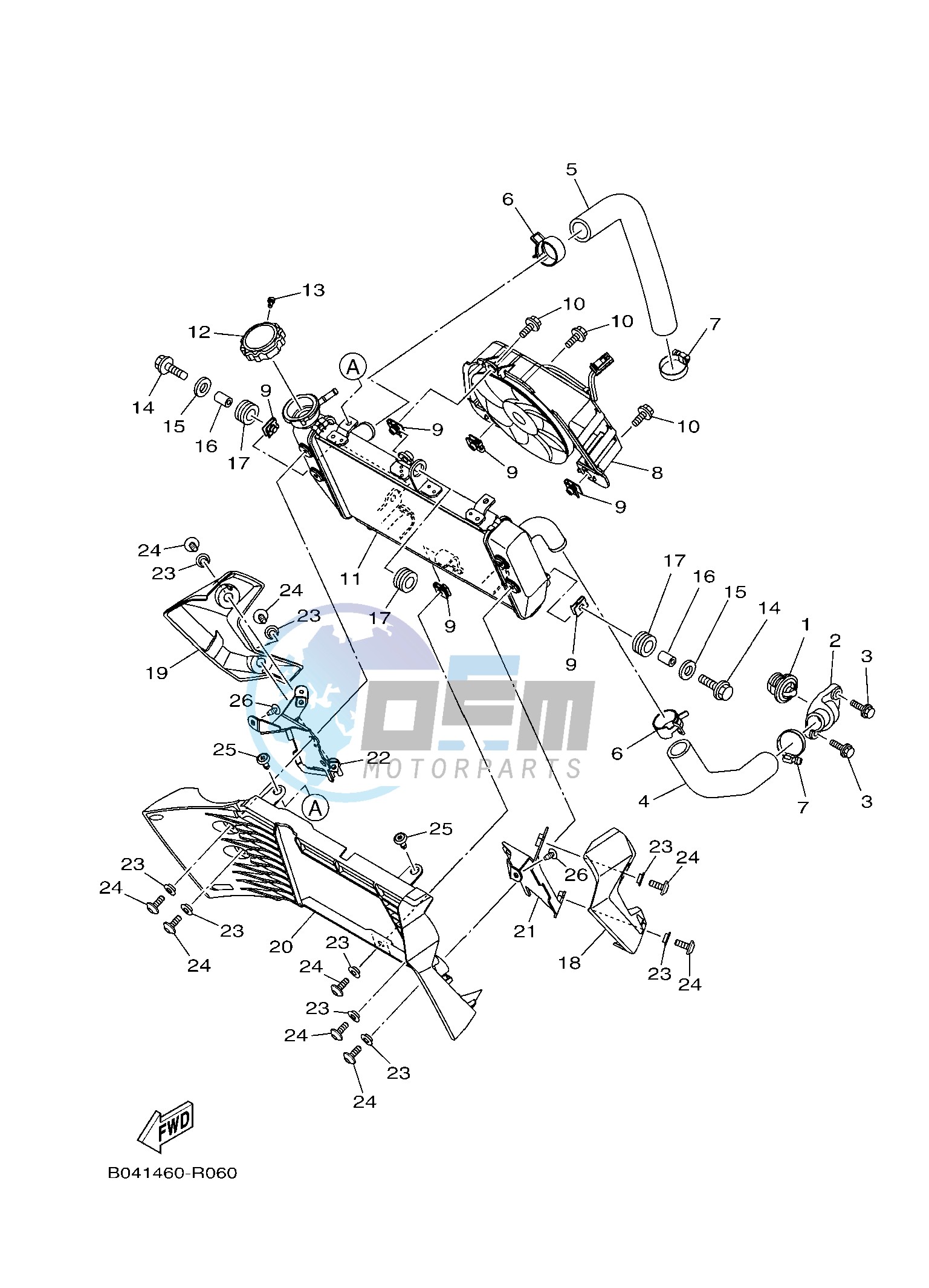 RADIATOR & HOSE