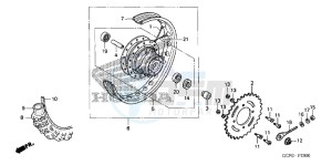 CRF70FB CRF70F ED drawing REAR WHEEL