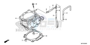 CRF450XE CRF450R Europe Direct - (ED) drawing CYLINDER