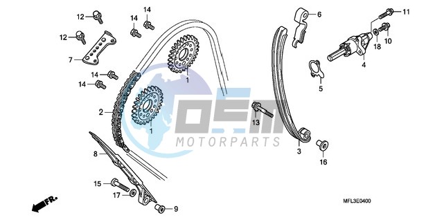 CAM CHAIN/TENSIONER