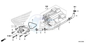 TRX500FM1G TRX500 Europe Direct - (ED) drawing WATER PUMP COVER