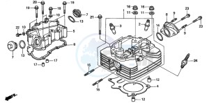 TRX250TE FOURTRAX ES drawing CYLINDER HEAD