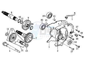 FIDDLE - 50 cc drawing GEAR GROUP