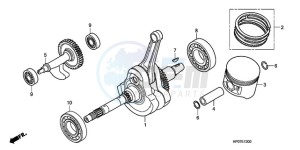 TRX500FPEA U / EC PS drawing CRANKSHAFT/PISTON