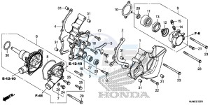 VFR800XF CrossRunner 2ED drawing WATER PUMP/CLUTCH SLAVE CYLINDER