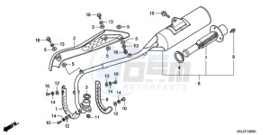 CRF50F9 Australia - (U) drawing EXHAUST MUFFLER