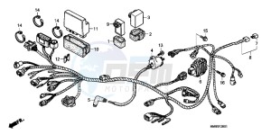 TRX250TEB drawing WIRE HARNESS ( TRX250TE)