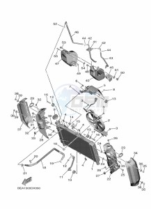 XSR900 MTM890 (BEA7) drawing RADIATOR & HOSE