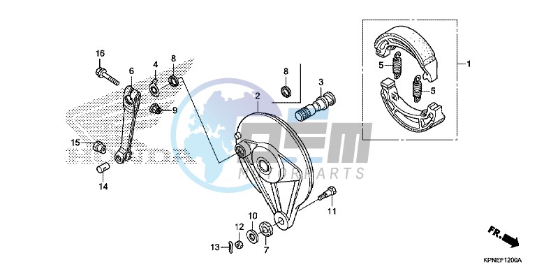 REAR BRAKE PANEL