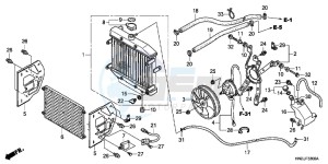 TRX500FAB drawing RADIATOR