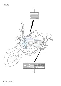 GZ125 (P02) drawing LABEL  (MODEL P2)