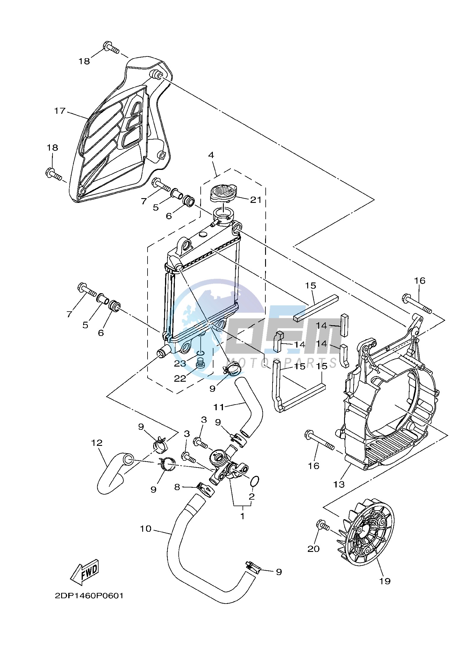 RADIATOR & HOSE