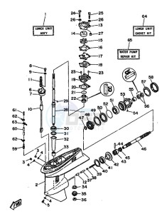 40N drawing LOWER-CASING-x-DRIVE-1